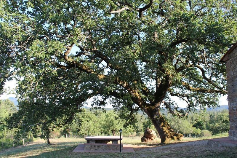 Agriturismo La Quercia Boccheggiano Esterno foto